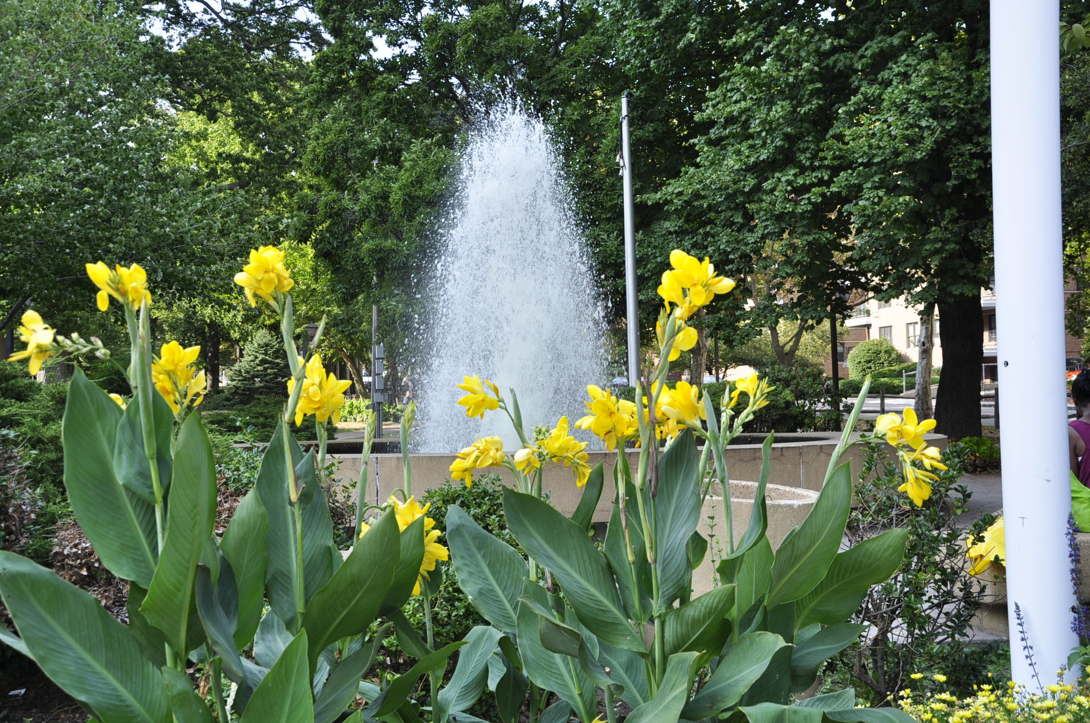 tibbits parks sept 9 2015